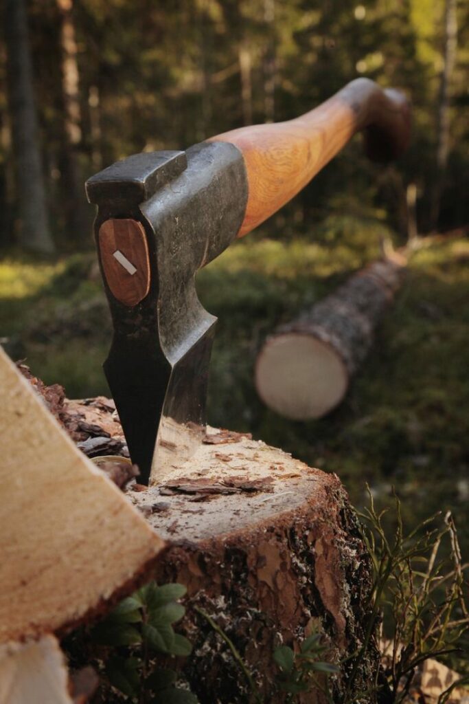 7d0c938a004a6970ad29252945bddad1