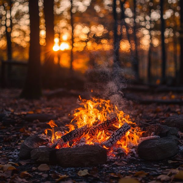 f0a8371abd92b7a1beb8f9f049f38bb1